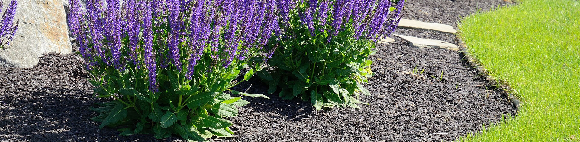 Landscaping Company Essex